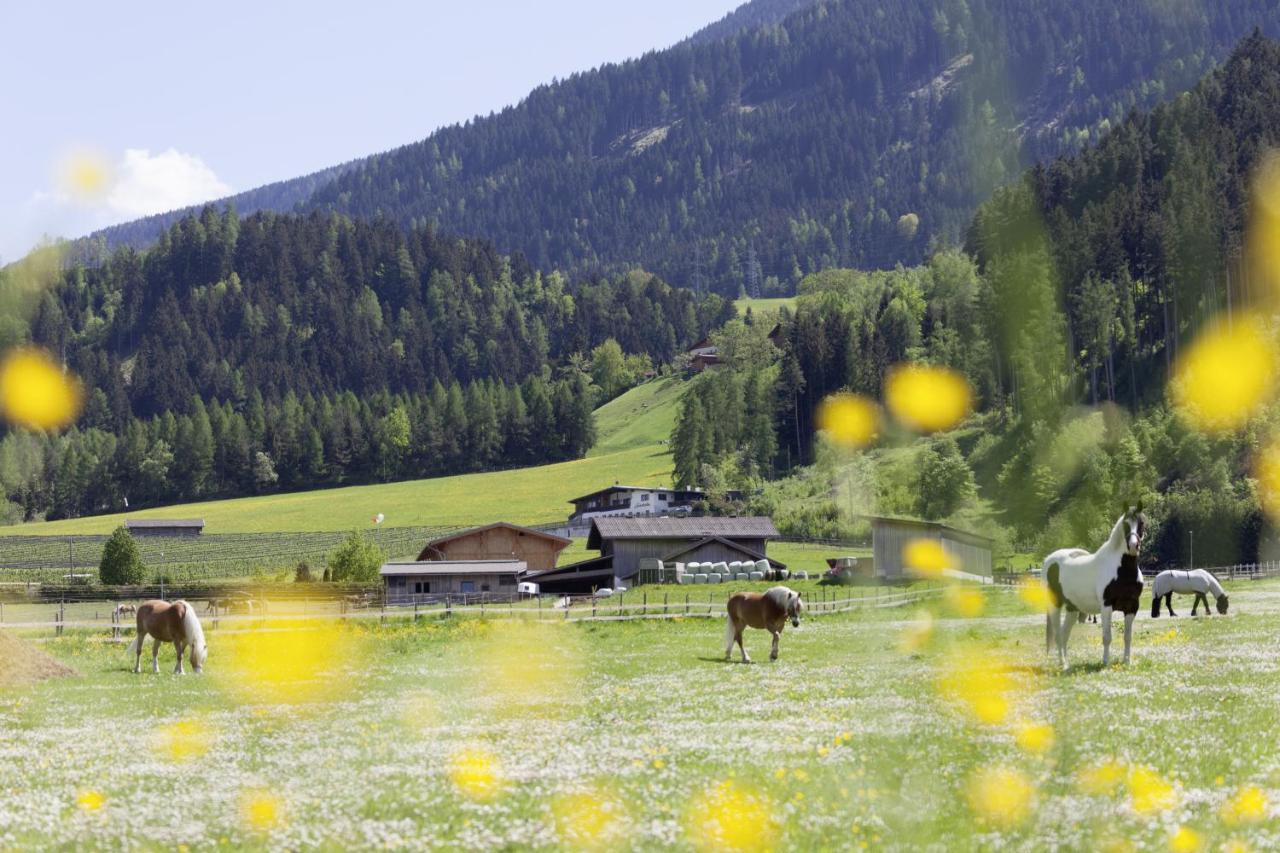 Apartmán Roslerhof Inzing Exteriér fotografie